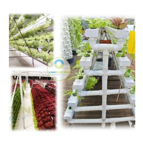 A Type Hydroponic System Vertical Hydroponics Setup PVC NFT Farming Multilayer Growing Rack for Greenhouse Strawberry Lettuces
