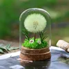 Green - 6