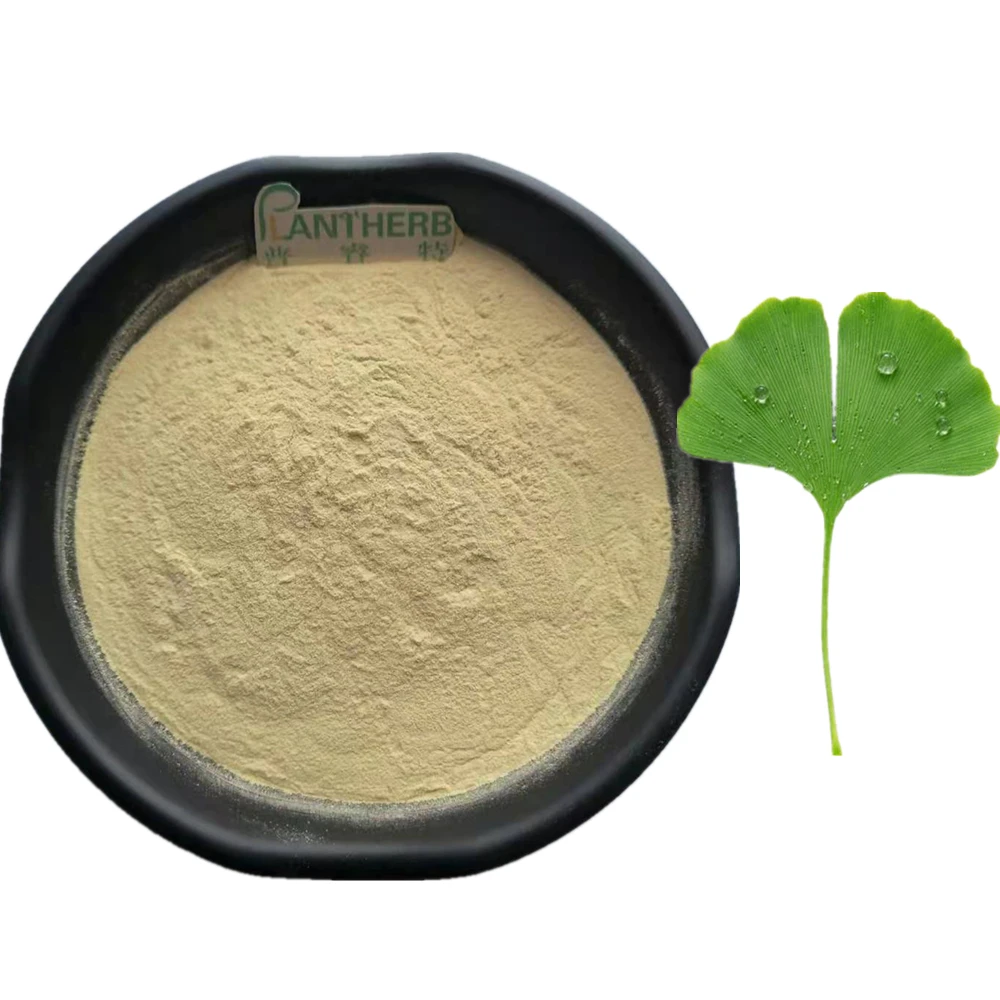 Herbs Extracts Ginko Biloba Extract Powder 100% Natural 24% Ginkgoflavorn  Glycosides & 6% Ginkgolide - Buy Ginko Extract,Ginko Biloba Extract,Ginko  Biloba Extract Powder Product on 