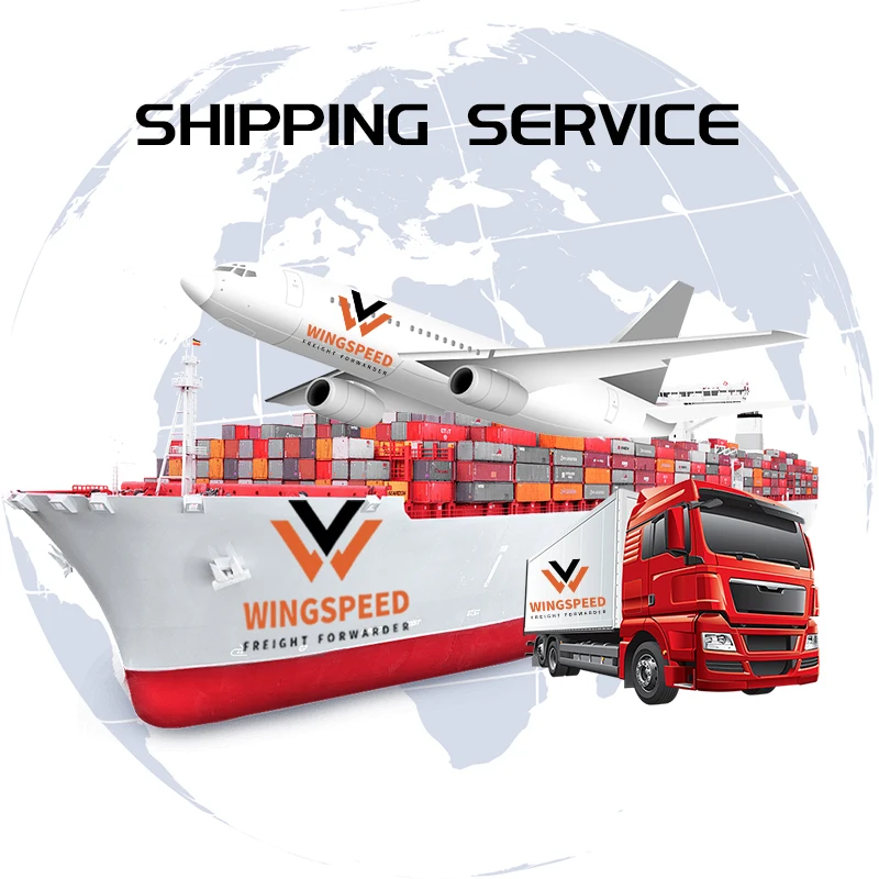 FCL/LCL Sea Freight Forwarder Ocean Shipping Agent Sea Cargo Shipping From China to Spain/Hawaii