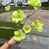 3#  Offerta speciale: Fiore a farfalla verde a 6 teste