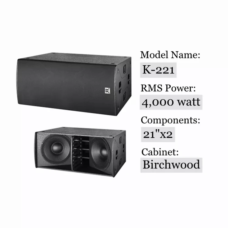 Double 21 Inch Subwoofer System - 4000W RMS Outdoor Bass