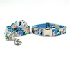 collar with leash 15