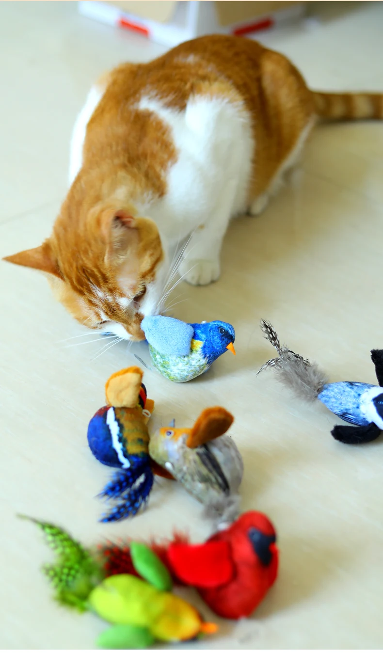 Simulation Calling Bird Cat Toy Adult Cat Baby Cat Companion Boredom Catnip Toy Dog Boredom Pet Supplies factory