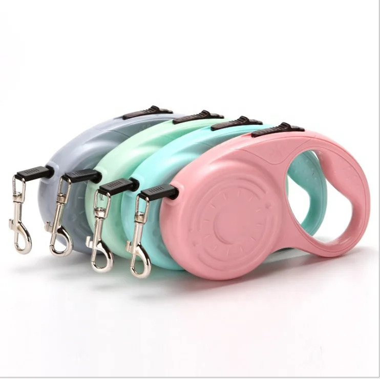 smart dog leash