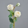 3 stems of Empress Rose white