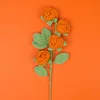 Cuatro ramas de rosas burbuja - Naranja