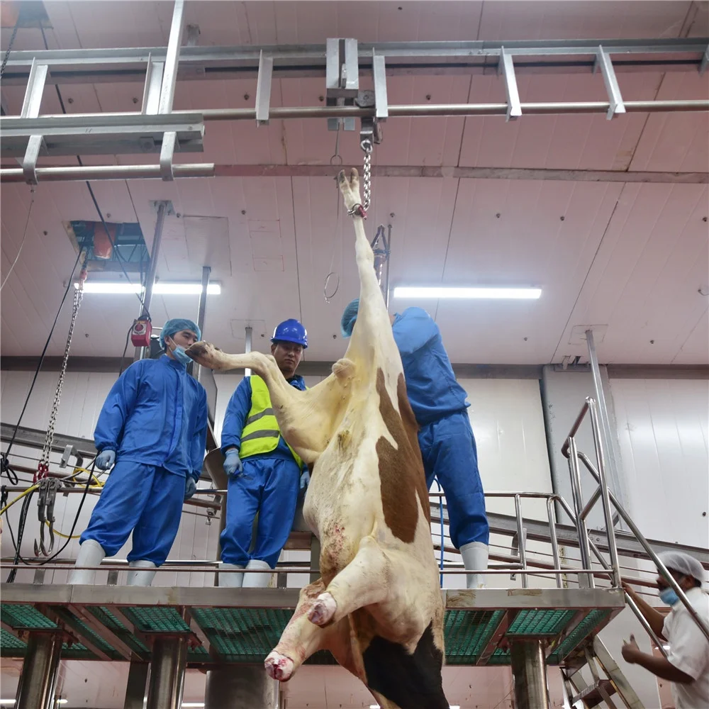 Slaughterhouse design 50-100 cow slaughterhouse meat processing equipment