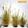 Autumn-colored reed potted plants