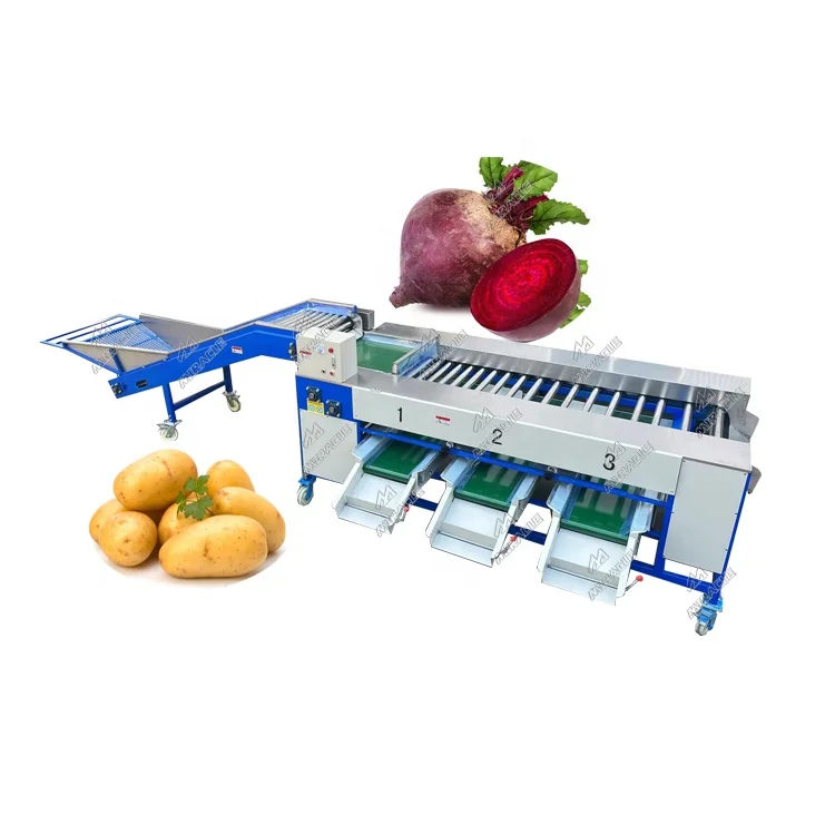 China Automatic Feeding Double Conveyor Onion Peeler Machine Manufacturers  - Low Price - Miracle Machinery