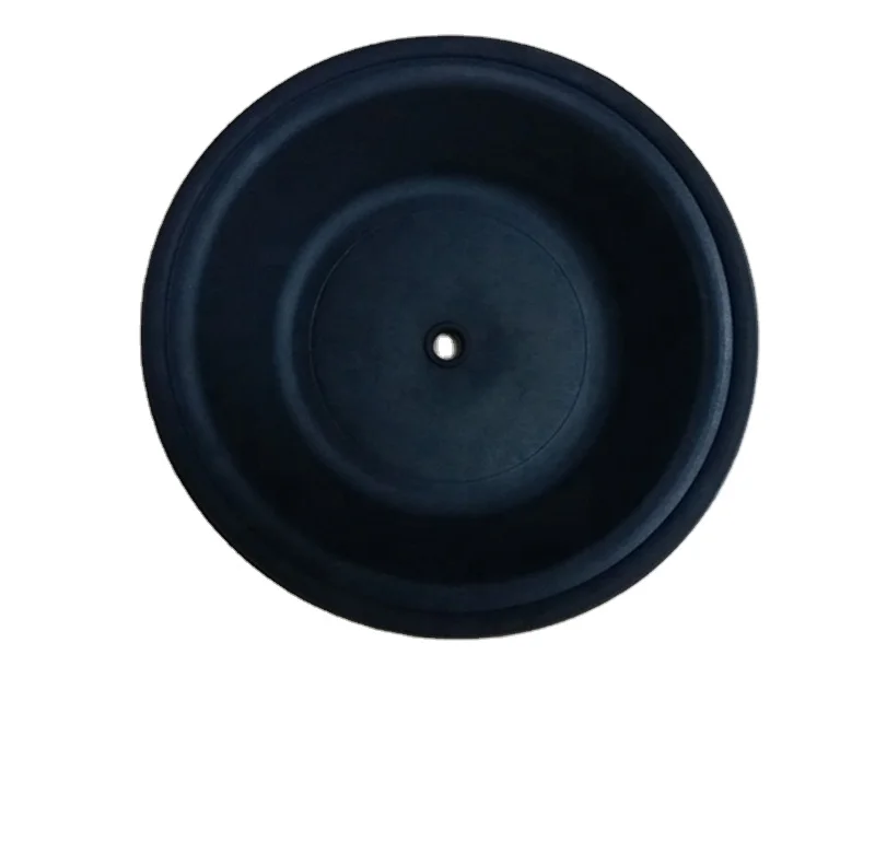 CF04-1010-51 Diaphragm