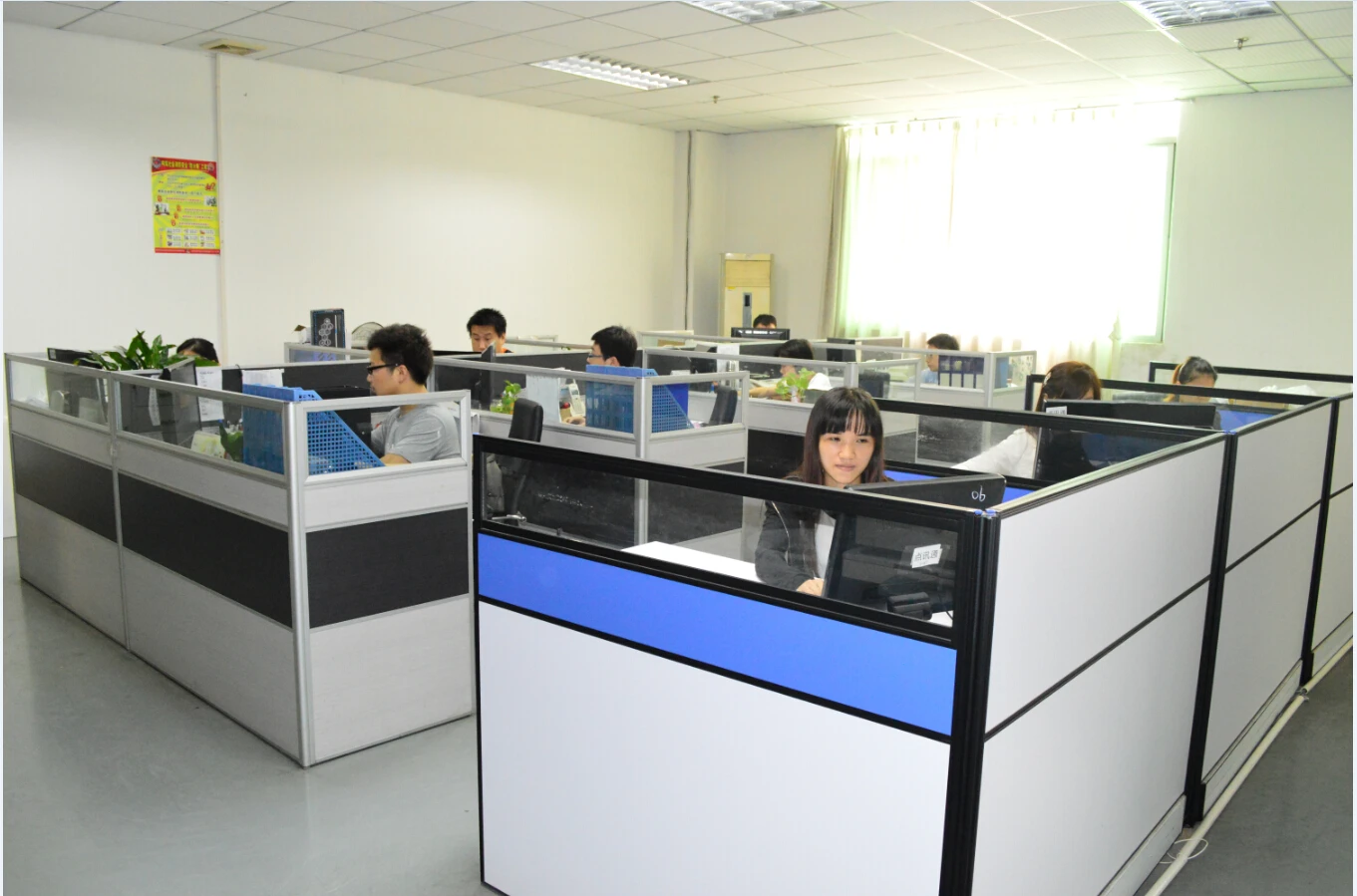 Shenzhen Braveman Technology Co., Ltd. 2