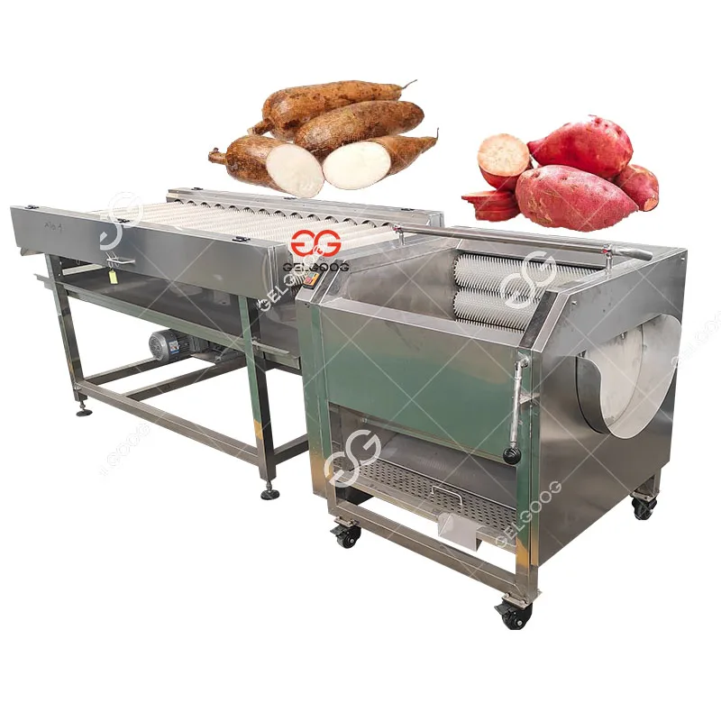 Jicama Washing Cassava Peeling Machine Washing Cassava Peeler Machine Cassava Peeling Machine Price