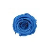 Bright Blue