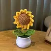 yellow sunflower