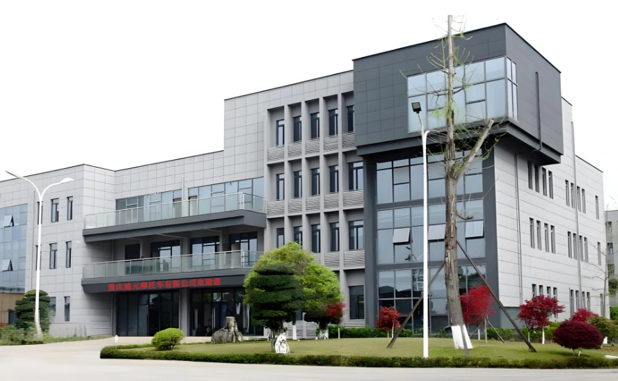 Chongqing DY Motorcycle Co., Ltd. 2