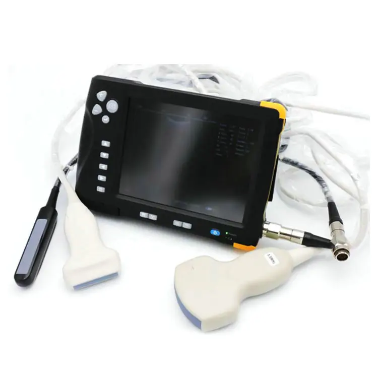 Portable Abdominal Ultrasound Versatile Ultrasound For Animal Scanning ...