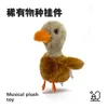 Brownish-grey-sings learns to speak flaps wings can talk