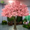 สีชมพู