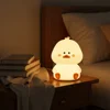 Cute duck colorful