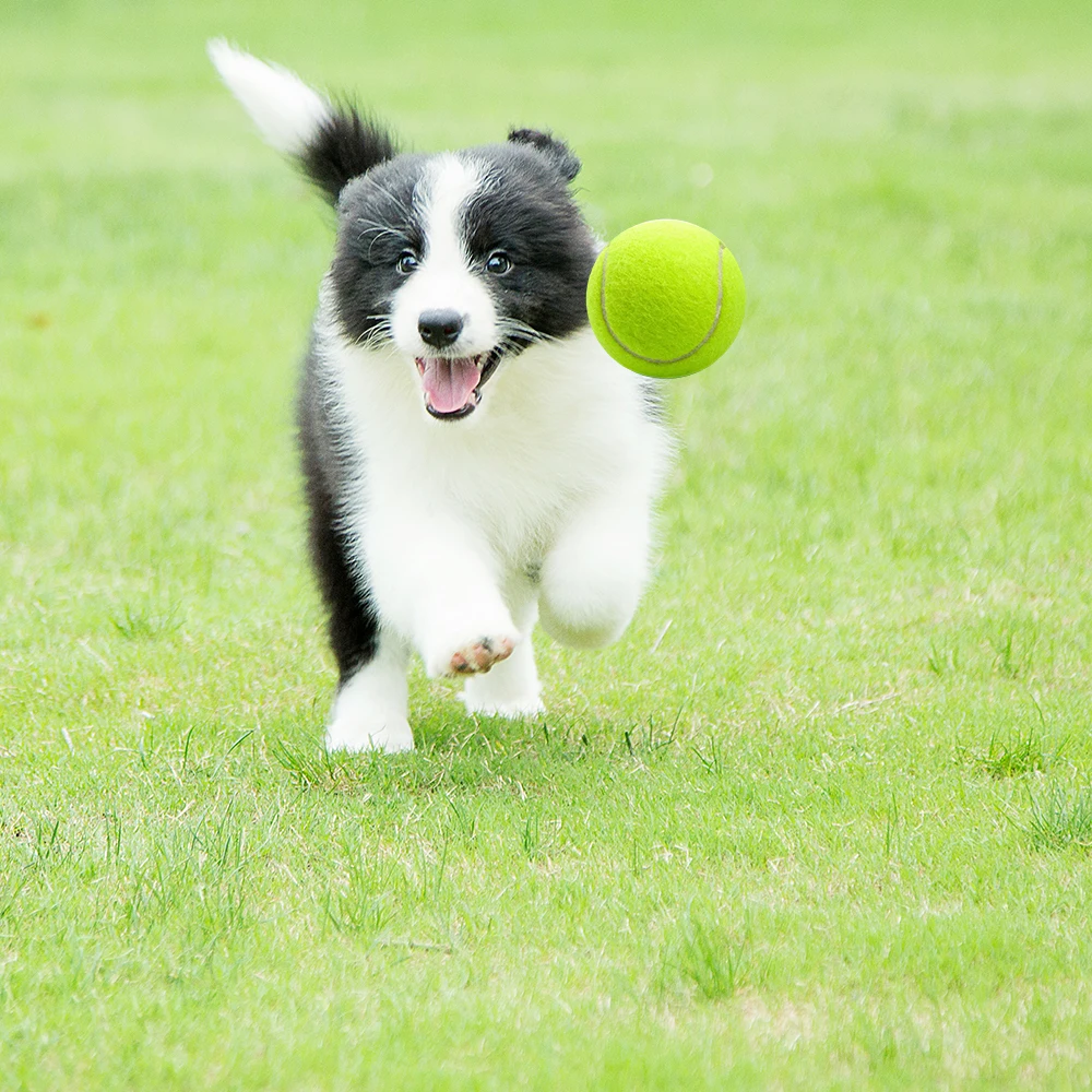 Dog tennis ball camouflage design and custom logo detail