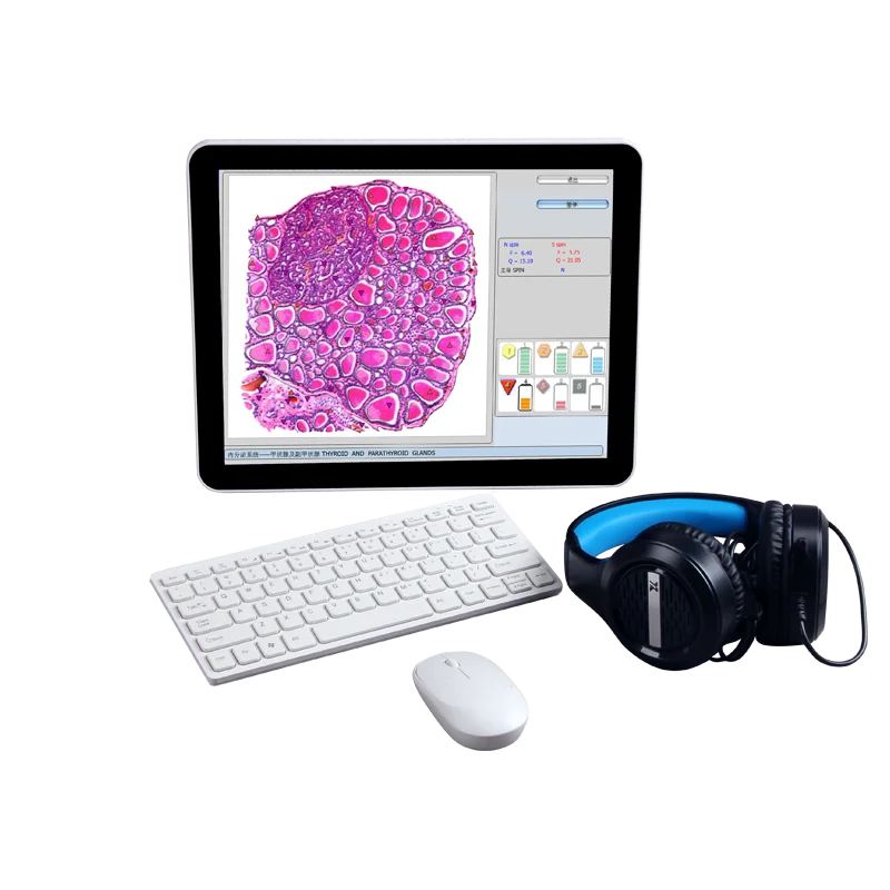 Headphone Cell Detector 9D NLS Nonlinear Analysis Physical Health Early Warning Management System Portable 18DHealth Analyzer