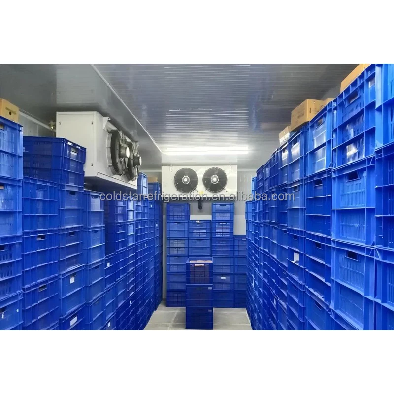 Modular Walk-in Freezer, 4 - detail 16