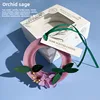 paquet unique - orchidée à anneau violet sauge
