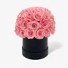 pink roses