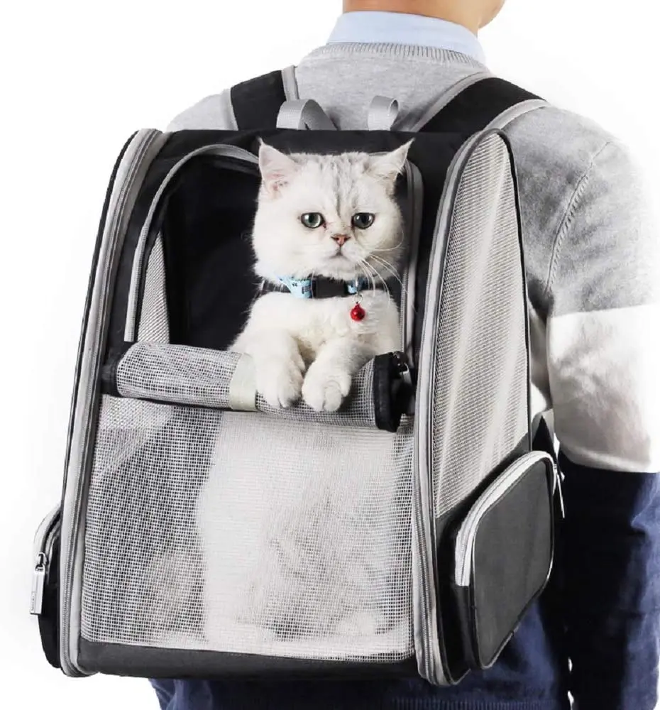 cat backpack for hiking