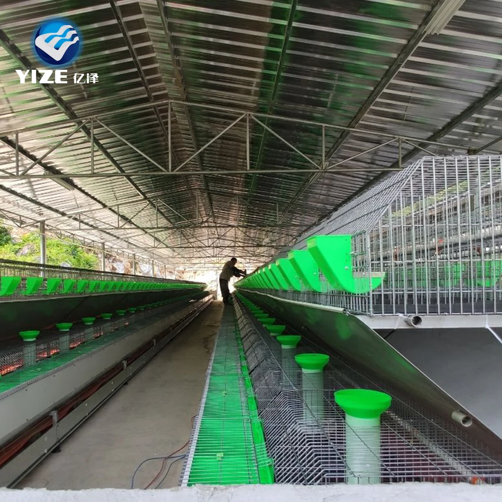 Automatic Manure Cleaning Rabbit Cage With High Quality Accessories