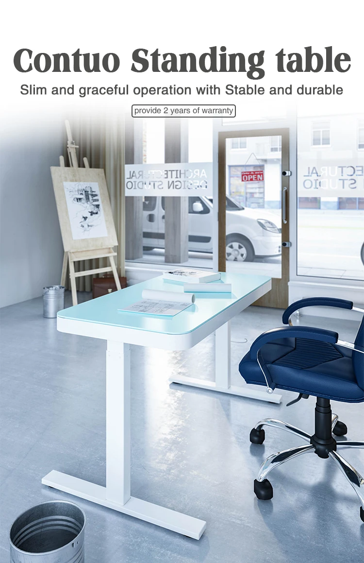 Lift Up And Down Desk Height Adjustable Electric White Raising Desk