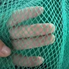 Verde senza nodo