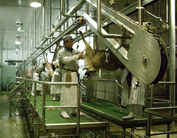Fully automatic mutton slaughterhouse equipped with mutton slaughterhouse meat traceability system equipment