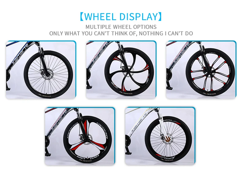 China hot cheap price cargo range for deliver products conversion kit Light exercise bike off road dirt 2020 new bicycle