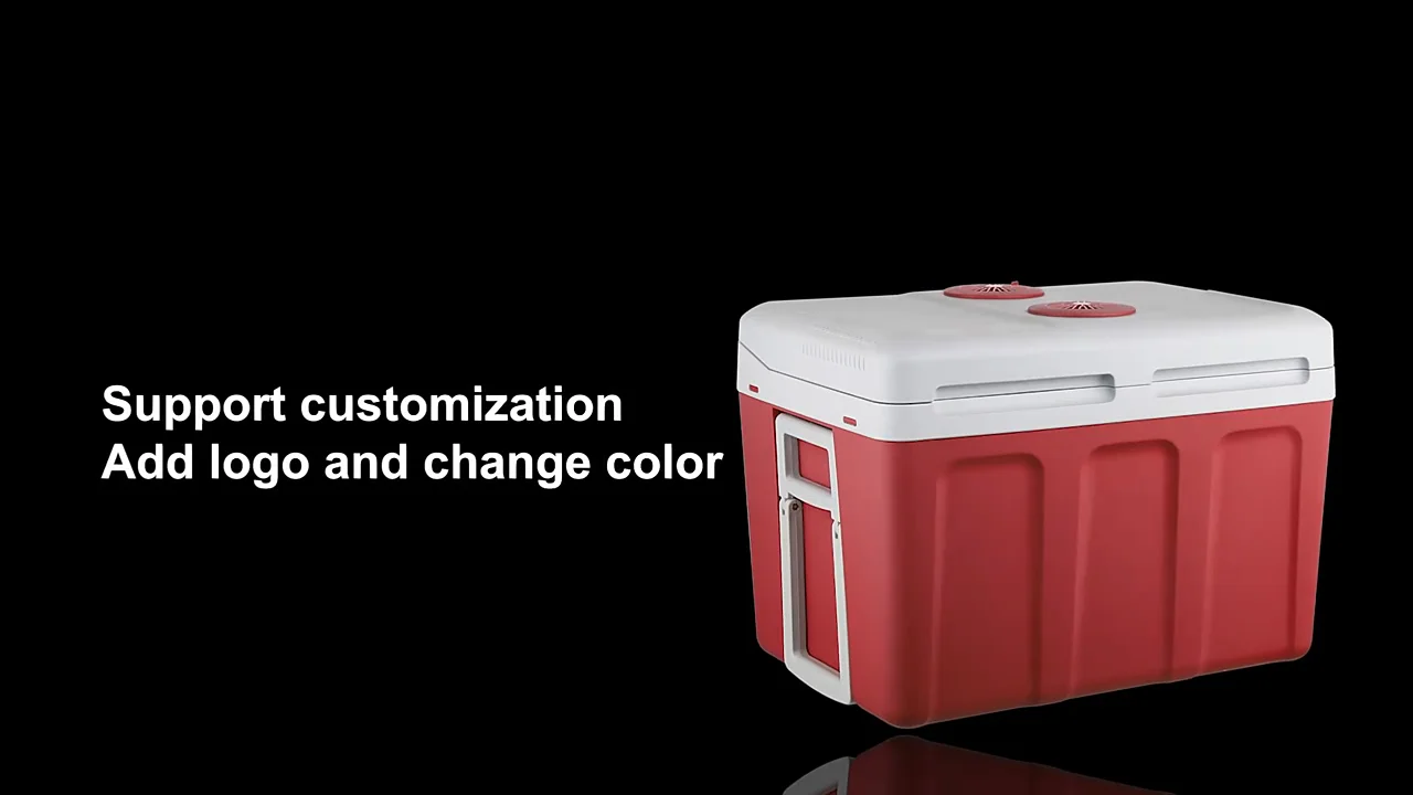 Small Rv Refrigerator Travel Trailer Refrigerator Car Fridges 12v Car