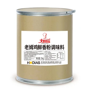 Bulk Cooking Seasoning Powder Supplier Commercial Grade Chicken Flavoring Powder for Professional Culinary Use