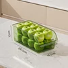 Light Luxury Green - Medium