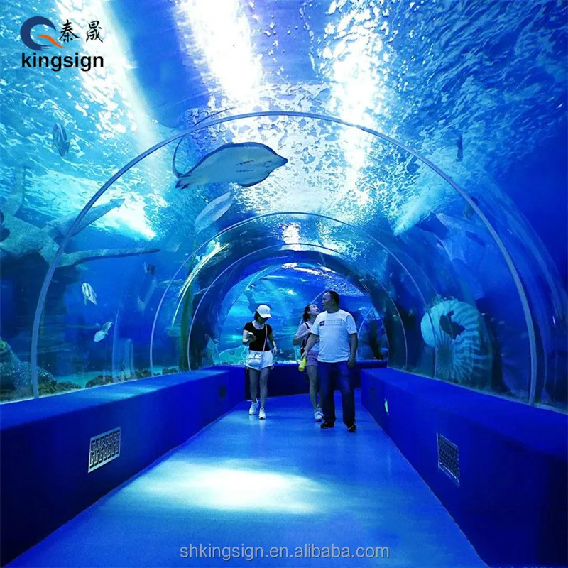 Kingsign Customized Size Acrylic Sheet for Aquarium Ocean Tunnel
