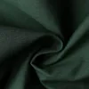 Oliva