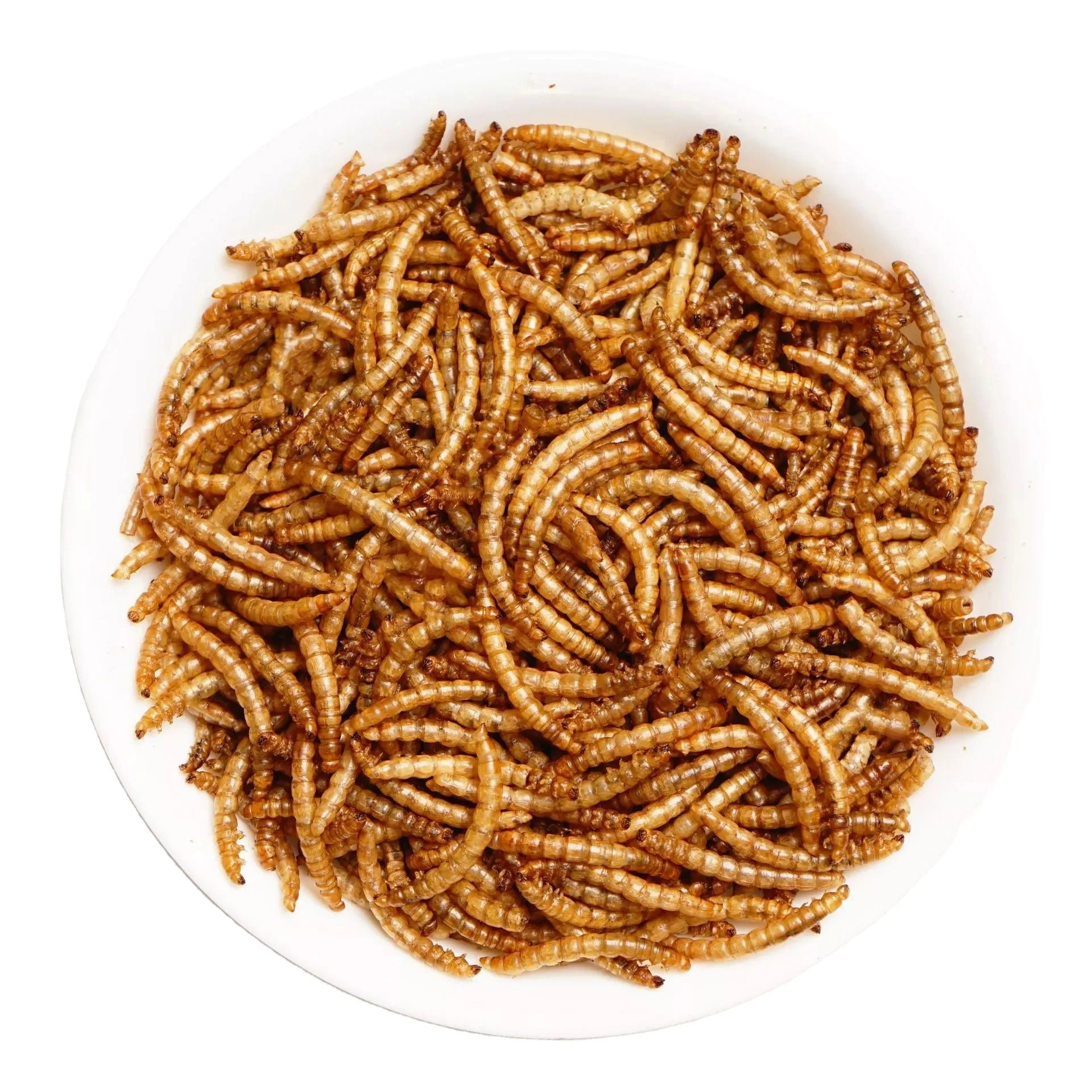 dried mealworms 500g