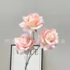 Rosas serigrafiadas