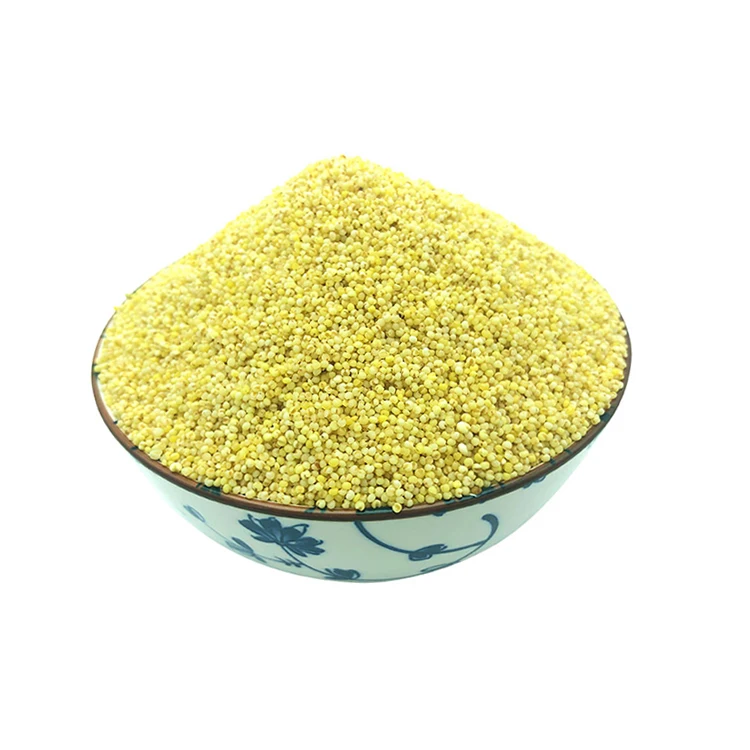 High Quality Pet Birds Spray Bird Agriculture Glutinous Food Millet