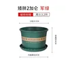 Short Size 2 [Diameter 20cm] 1 piece