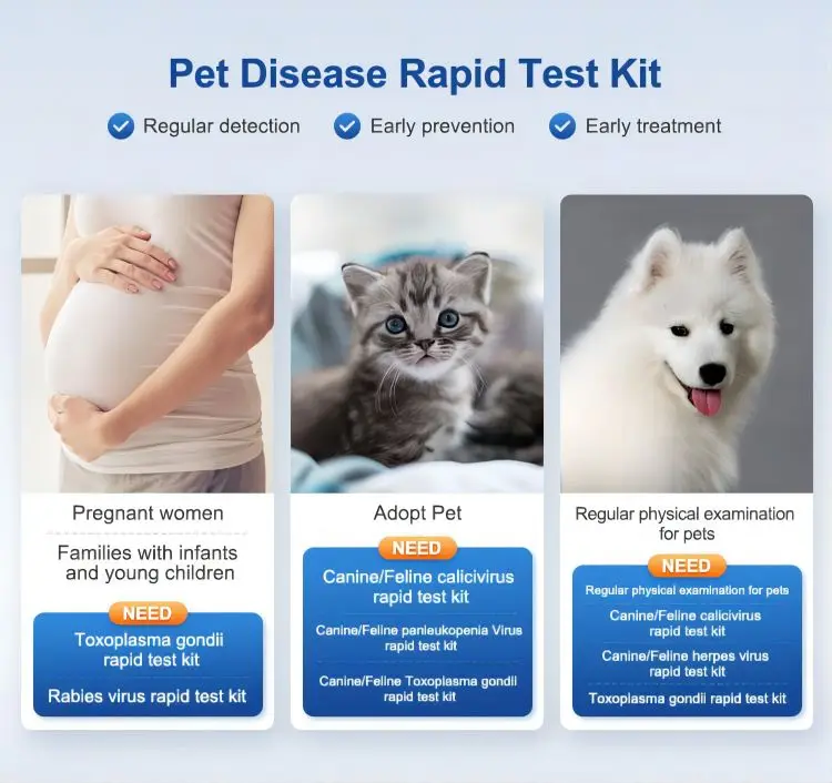 Canine Pregnancy Rapid Test Veterinary Diagnostic Relaxin Pet Rapid