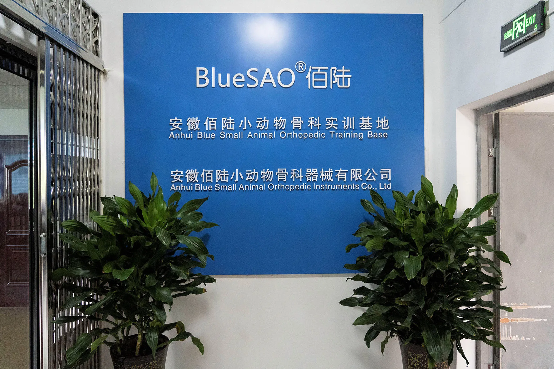 Surgical Center Base