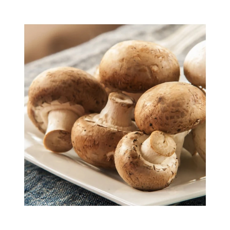 Traditional Crafts Wild Good Taste Brown Color Dried Shiitake Mushrooms 1kg Price For Daily Eating Food
