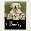 Libro de mascotas