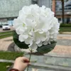 Single head korean style large hydrangea white