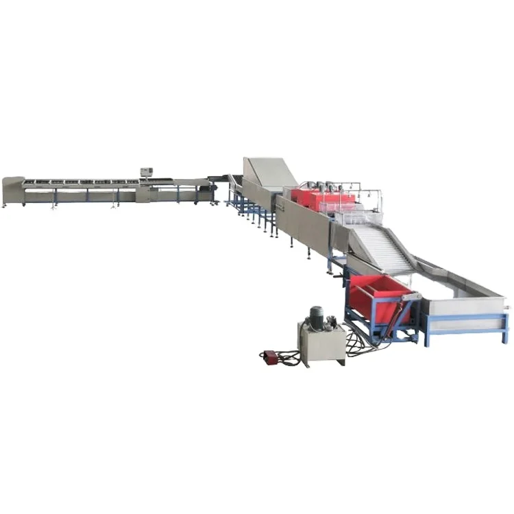 Small Fruit Grading Machine/tomato Grading Machine/cherry Tomato Grading Machine